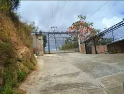 View 6
