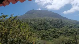 Vista 10
