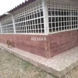 View 8