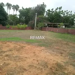 View 10