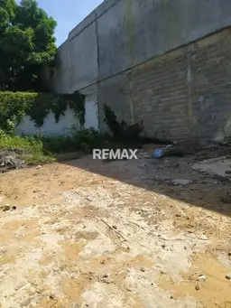 Vista 4