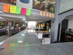 Vista 4