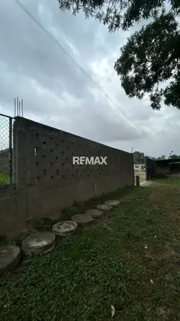 View 4