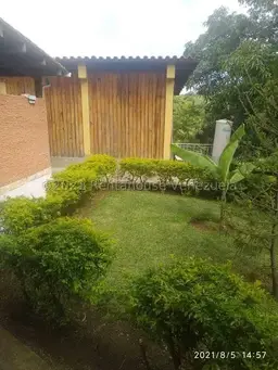 Vista 11