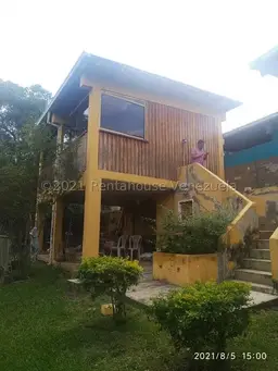 Vista 19