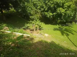 Vista 24