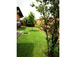 View 11