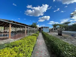 Vista 34