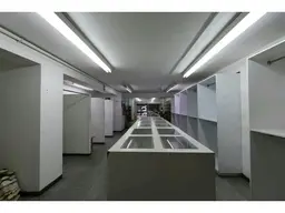 Vista 12
