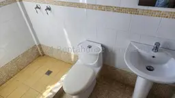 Vista 10