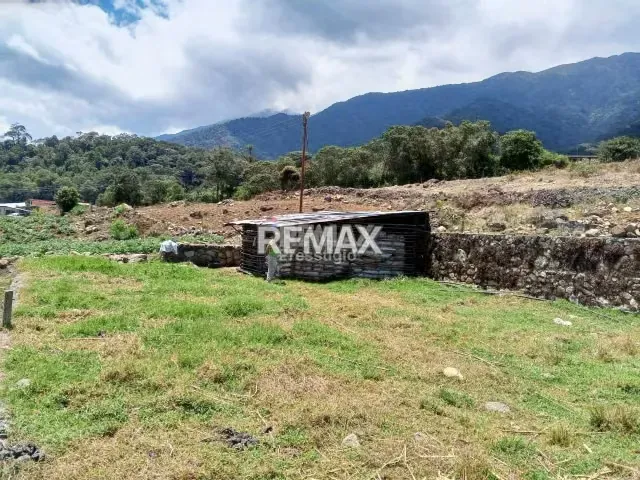 Finca en Venta - 11