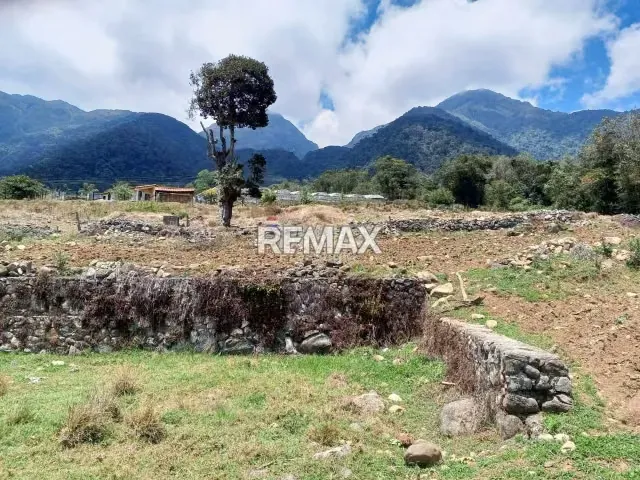 Finca en Venta - 12