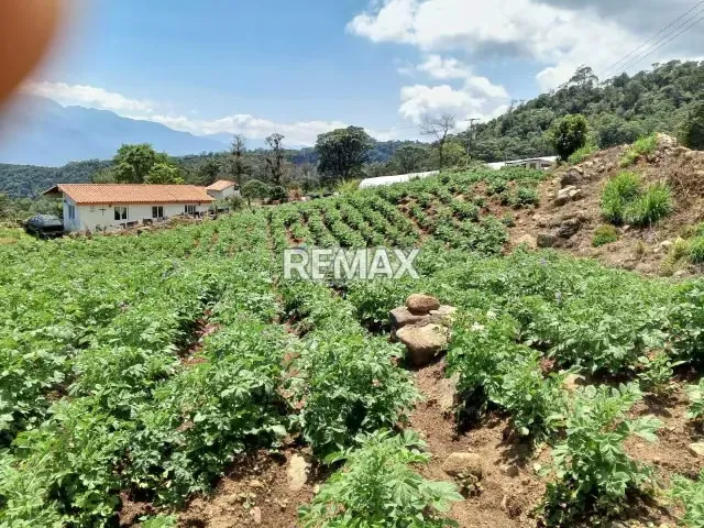 Finca en Venta - 13