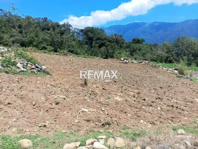 Finca en Venta - 14