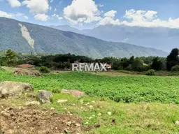 View 3