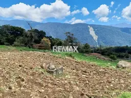 View 4
