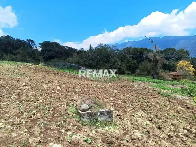Finca en Venta - 5