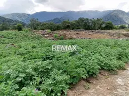 View 7