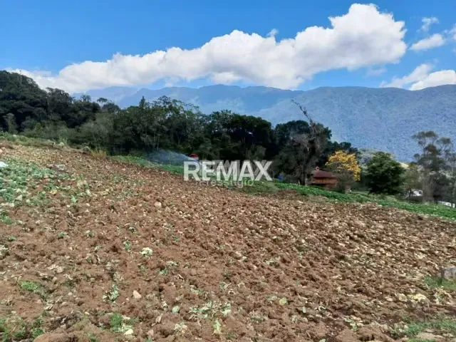 Finca en Venta - 8