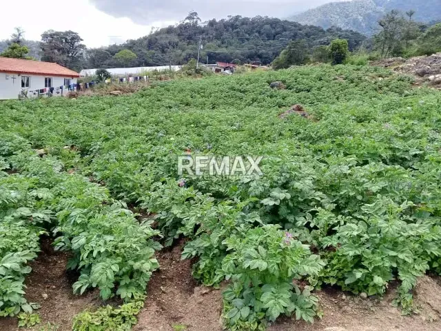 Finca en Venta - 10
