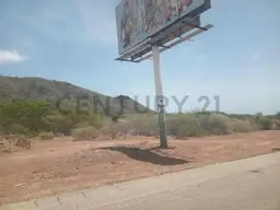 Vista 6