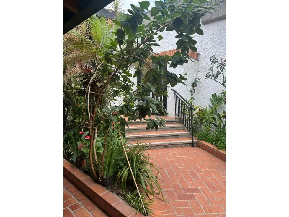 Vendo casa 567m2 El Arroyo 4625 - 3
