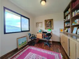 Vista 19