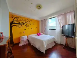 Vista 27