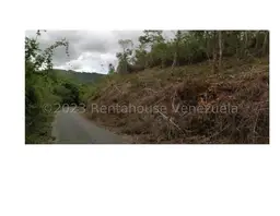 View 1