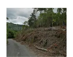 View 11