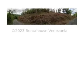 View 12
