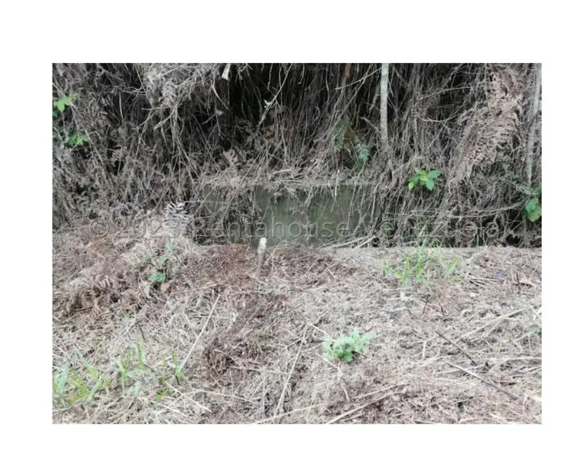 Terreno (Residencial) en Venta en Barutaima, Miranda - 14