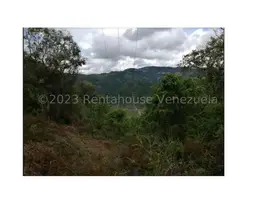 View 16