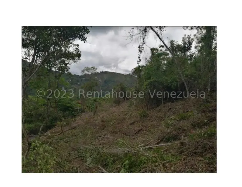 Terreno (Residencial) en Venta en Barutaima, Miranda - 4