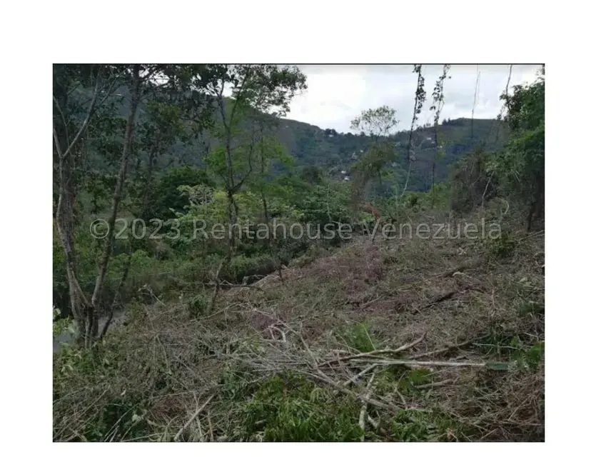Terreno (Residencial) en Venta en Barutaima, Miranda - 5