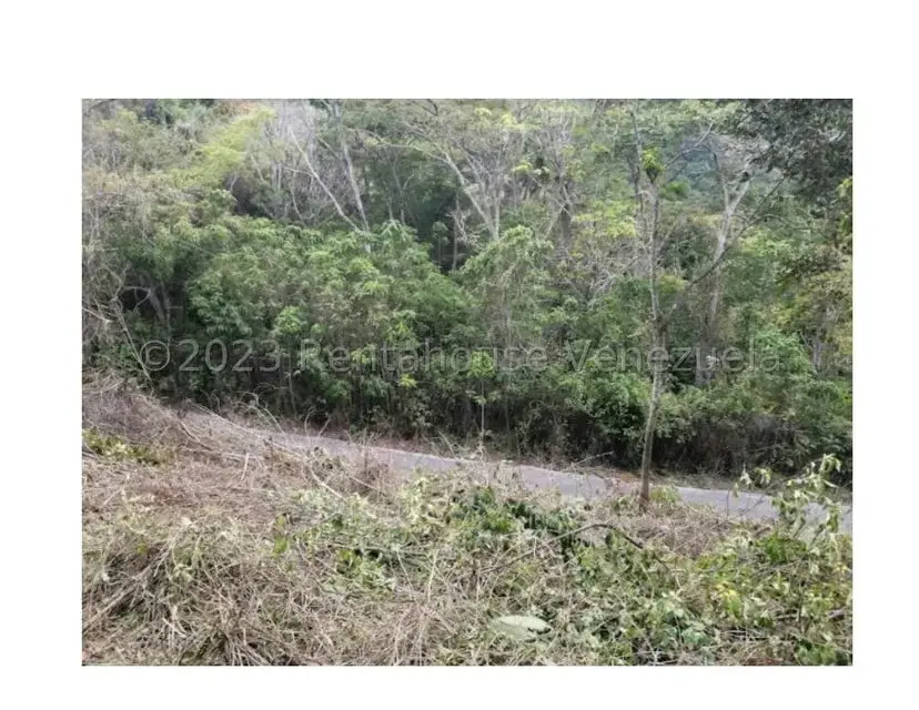 Terreno (Residencial) en Venta en Barutaima, Miranda - 6