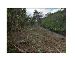 View 7