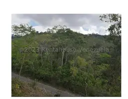 View 8