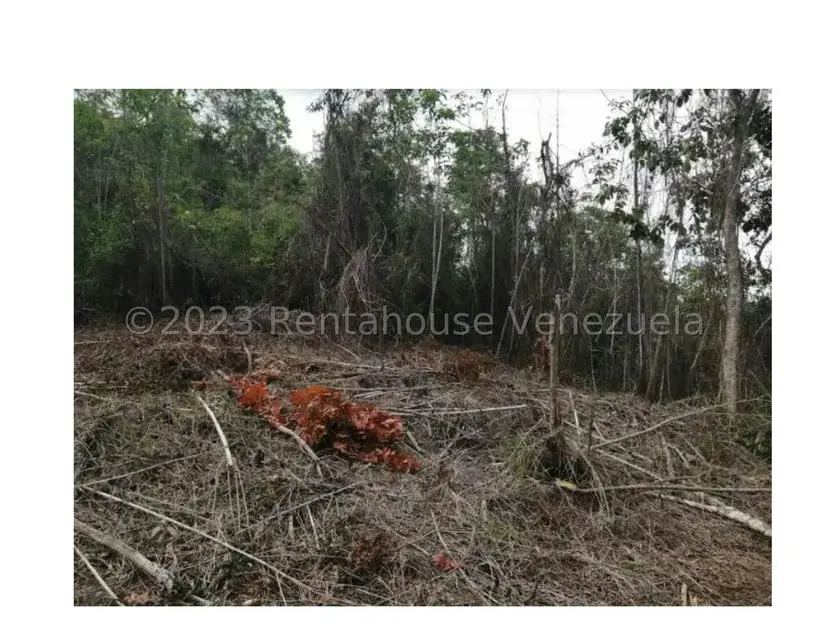 Terreno (Residencial) en Venta en Barutaima, Miranda - 10