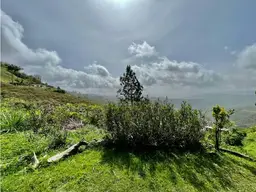 Vista 3