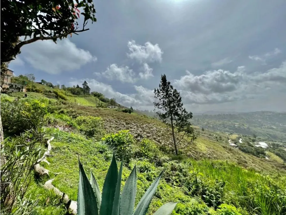 Se vende terreno 2.494m2 Oripoto - 4