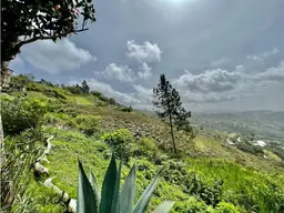 Vista 4