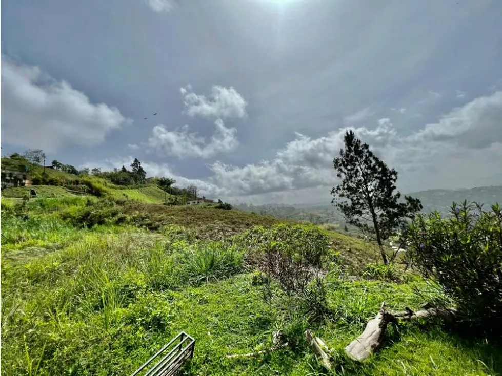 Se vende terreno 2.494m2 Oripoto - 7