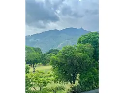 Vista 10