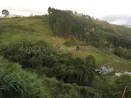 Vista 11