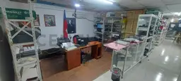 Vista 10