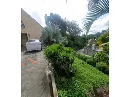 Vista 19