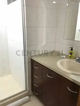 Vista 14
