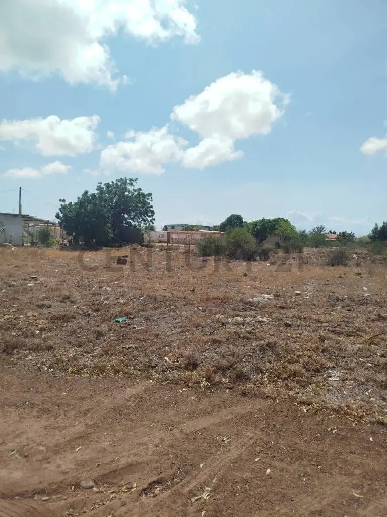 Terreno Ell Espinal , isla de Margarita - 2