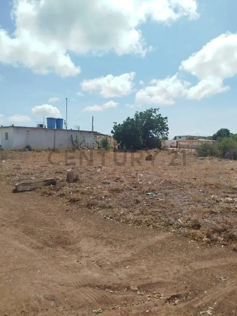 Terreno Ell Espinal , isla de Margarita - 3